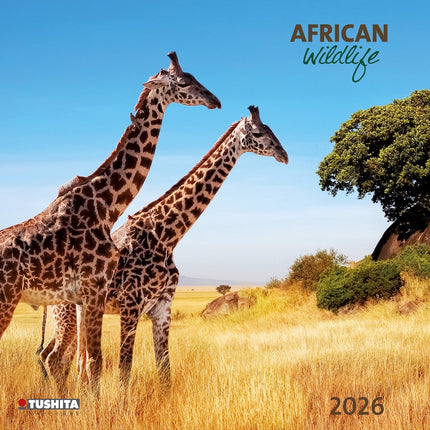 Tushita African Wildlife Kalender 2026