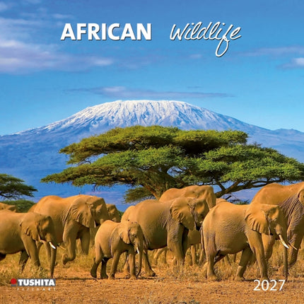 Tushita African Wildlife Kalender 2027