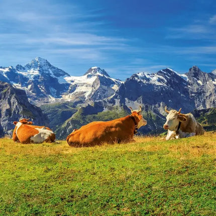 Tushita Alpen Kalender 2027