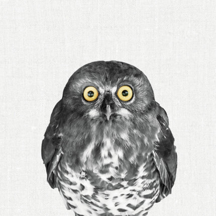 Tushita Animal Portraits Kalender 2027