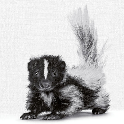 Tushita Animal Portraits Kalender 2027