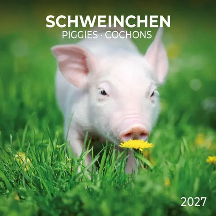 Tushita Biggen Kalender 2027
