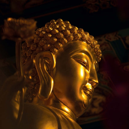 Tushita Buddha's Smile Kalender 2026