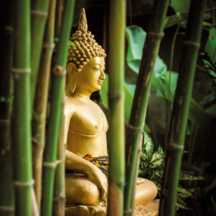 Tushita Buddha's Smile Kalender 2026