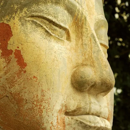 Tushita Buddha's Smile Kalender 2027