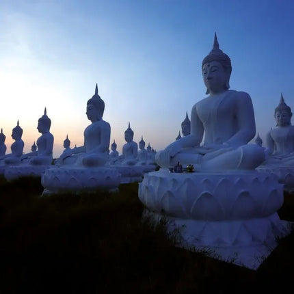 Tushita Buddha's Smile Kalender 2027