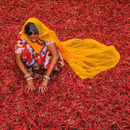 Tushita Colours of India Kalender 2027