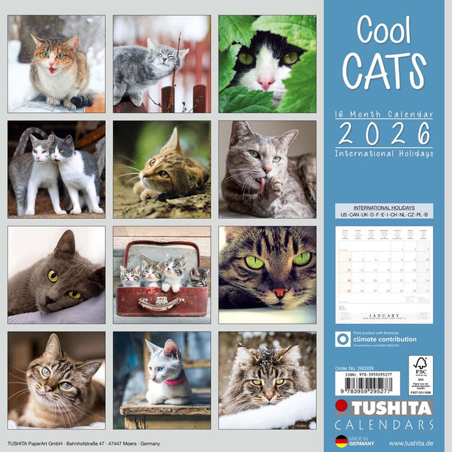 Tushita Cool Cats Kalender 2026