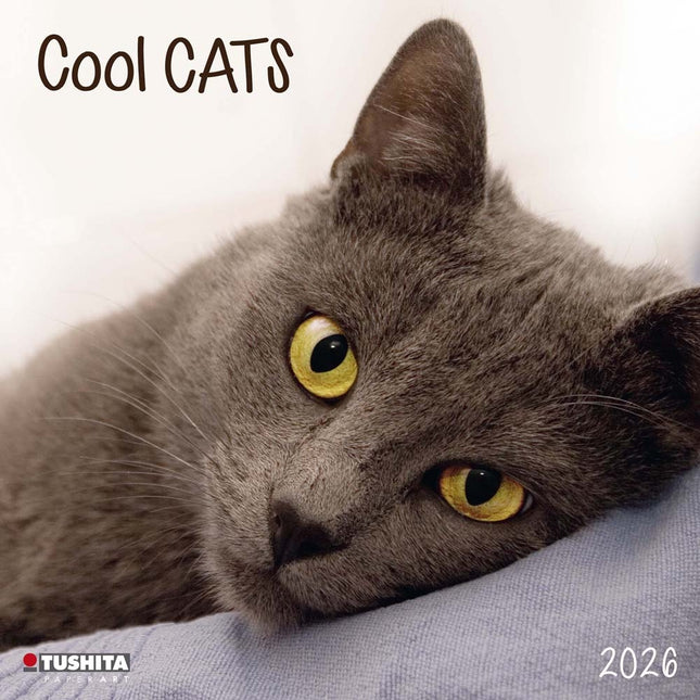 Tushita Cool Cats Kalender 2026