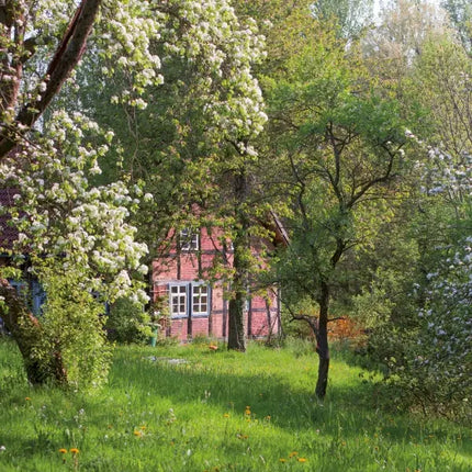 Tushita Cottage Garden Kalender 2027