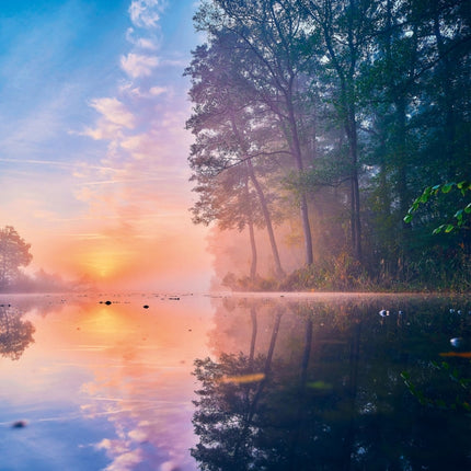 Tushita Deep Forest Kalender 2027