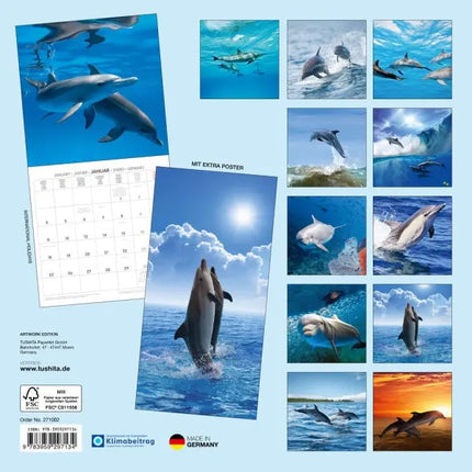 Tushita Dolfijnen Kalender 2027