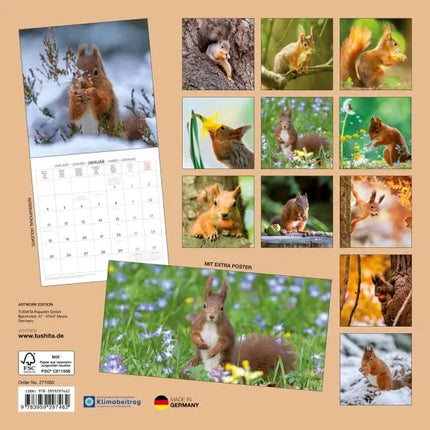 Tushita Eekhoorn Kalender 2027