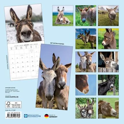 Tushita Ezel Kalender 2027