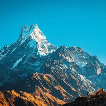 Tushita Himalaya Kalender 2027