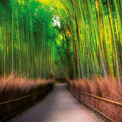 Tushita Inside Japan Kalender 2027