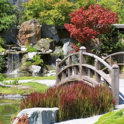 Tushita Japanese Garden Kalender 2027