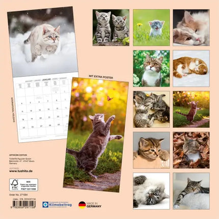 Tushita Katten Kalender 2027