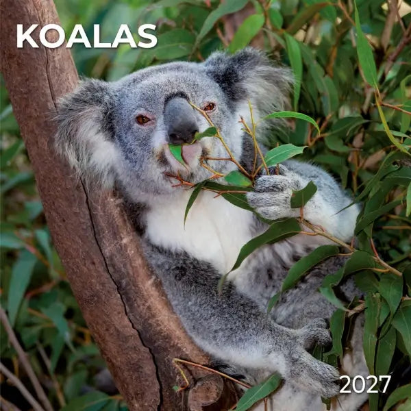 Tushita Koala's Kalender 2027