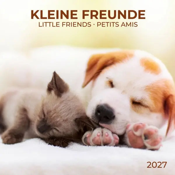 Tushita Little Friends Kalender 2027