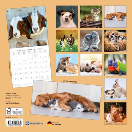 Tushita Little Friends Kalender 2027