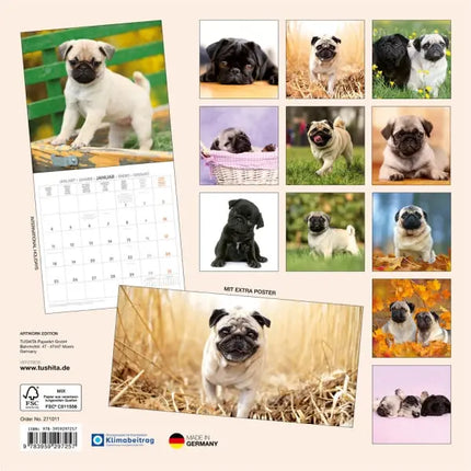 Tushita Mopshond Kalender 2027