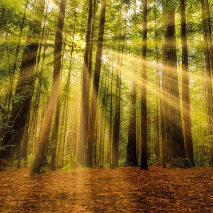 Tushita Natuur Kalender 2027