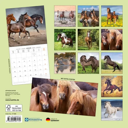 Tushita Paarden Kalender 2027