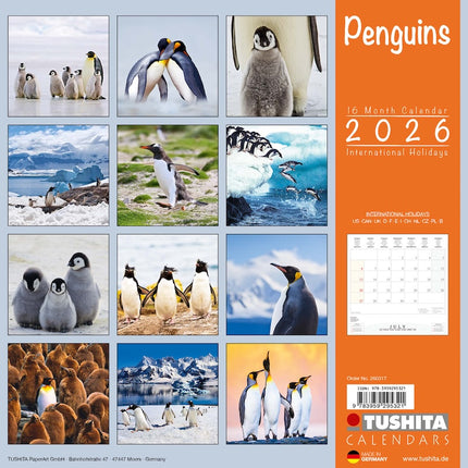 Tushita Pinguin Kalender 2026