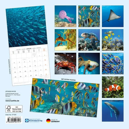 Tushita Sea Animals Kalender 2027