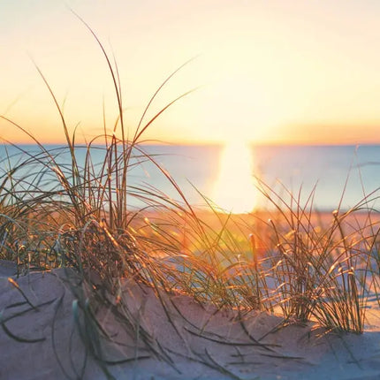 Tushita Strand en Zee Kalender 2027
