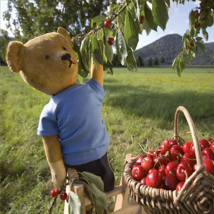Tushita Teddy's World Kalender 2027