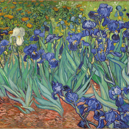 Tushita van Gogh - From Vincent's Garden Kalender 2026