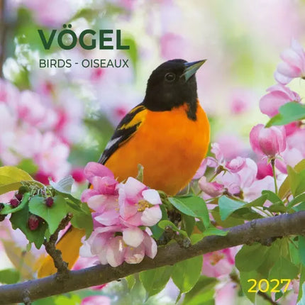 Tushita Vogels Kalender 2027