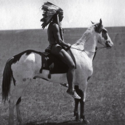 Tushita Walkers of the Wind Kalender 2027