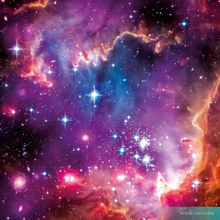 Tushita Where Stars are Born Kalender 2026