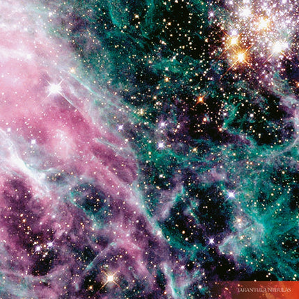 Tushita Where Stars are Born Kalender 2026