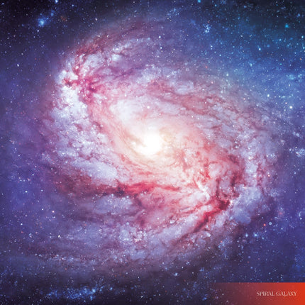 Tushita Where Stars are Born Kalender 2026