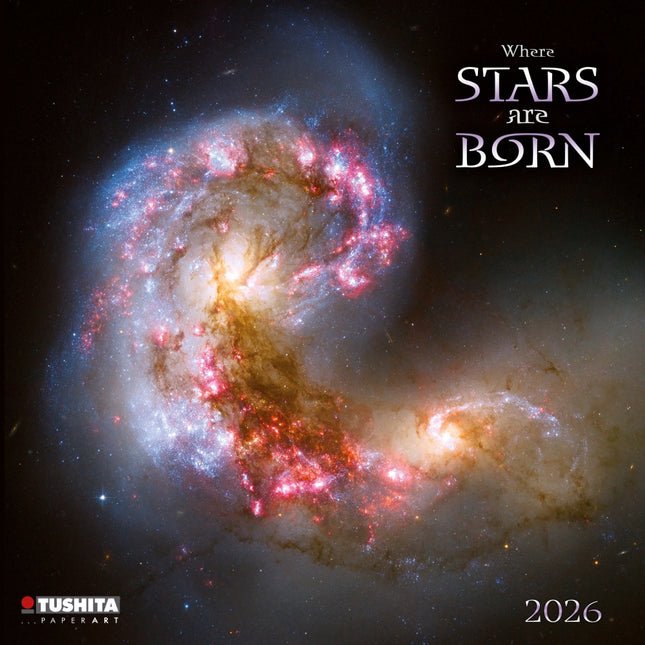 Tushita Where Stars are Born Kalender 2026