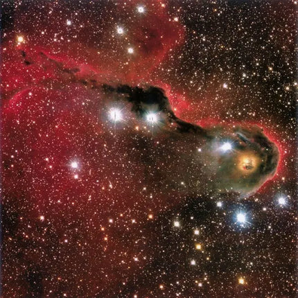 Tushita Where Stars are Born Kalender 2027