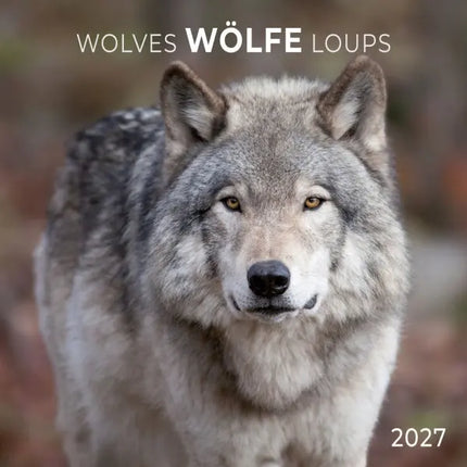 Tushita Wolven Kalender 2027