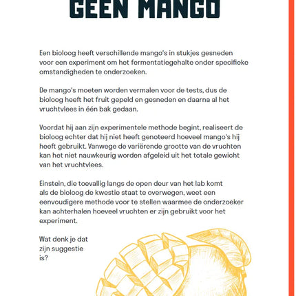 Uitgeverij MUS Mr. Brein Einstein Puzzelboek