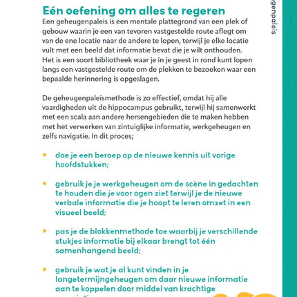 Uitgeverij MUS Mr. Brein Geheugenpaleis Puzzelboek