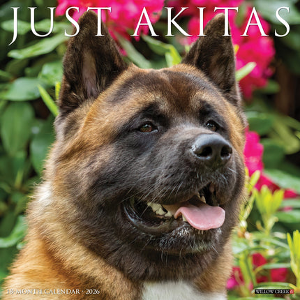 Willow Creek Akita Kalender 2026
