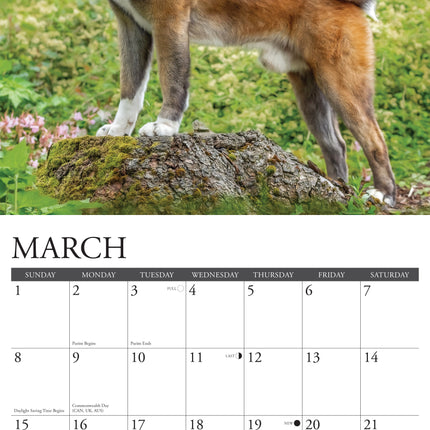 Willow Creek Akita Kalender 2026
