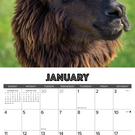 Willow Creek Alpacas Kalender 2026