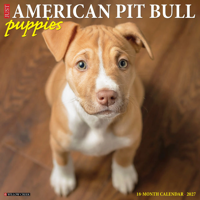 Willow Creek American Pit Bull Terrier Puppies Kalender 2027