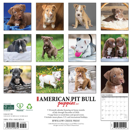 Willow Creek American Pit Bull Terrier Puppies Kalender 2027
