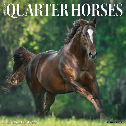 Willow Creek American Quarter Horse Kalender 2027