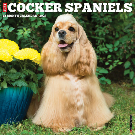 Willow Creek Amerikaanse Cocker Spaniel Kalender 2027